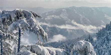 Himachal Pradesh: Discover the Winter Magic of Chail: A Travel Guide to Himachal's Hidden Gem