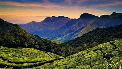 Exploring the Enchanting Hill Stations of Tamil Nadu: A Must-Visit for Nature Lovers