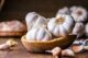 Garlic as Salary: A Fascinating Historical Insight into Ancient Egypt