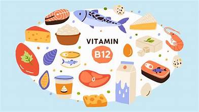 Power of Vitamin B12: Key Foods to Combat Deficiency