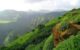 Nature's Splendor: Hill Stations Near Bangalore Within 200 Kilometers