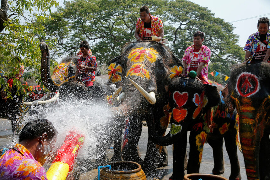 Experience the Vibrancy of Songkran: Thailand's Iconic Festival
