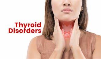 Thyroid Disorders and Their Link to Weight Gain