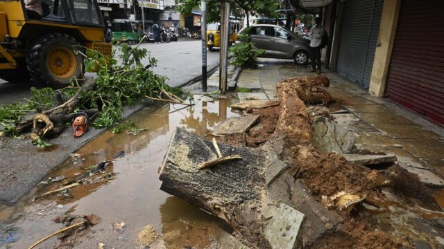 हैदराबाद: कंक्रीट के जंगल में पेड़ों का रोना