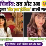Alisha Chinai transformation then and now