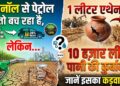 Biofuel vs Water Crisis: चावल से एथेनॉल बनाना क्यों है भारत के भूजल के लिए खतरे की घंटी?