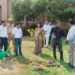 Hapur: हापुड़ में उज्जीवन बैंक का वृक्षारोपण अभियान, 35 पौधे लगाए गए