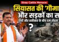 Stray Cattle Menace: सियासत की 'गौमाता' और सड़कों का सच: दावों और हकीकत के बीच दम तोड़ता गोवंश