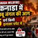 Canada Wildfire: कनाडा में बेकाबू जंगल की आग, 95 वर्ग किमी इलाका चपेट में
